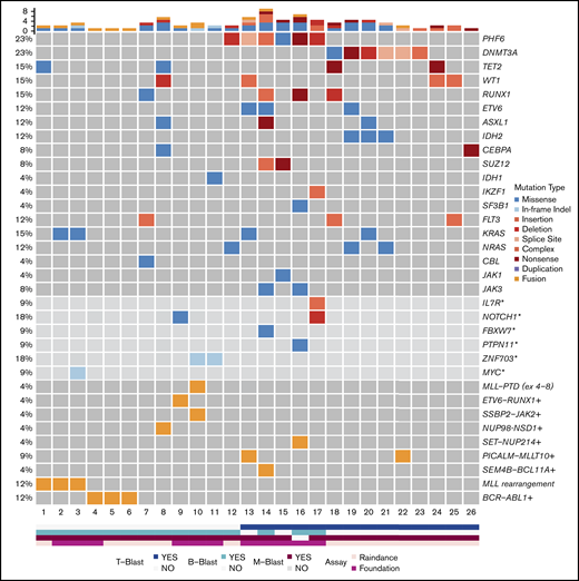 Mutational landscape of MPAL. Asterisks denote genes covered by the FoundationOne Heme panel, but not the RainDance panel, and the frequencies of these mutations in 11 patients were calculated. Plus signs denote fusions detected by Archer, RNA-seq, and/or FoundationOne Heme panels, and the frequencies of these fusions in 23 patients were calculated.