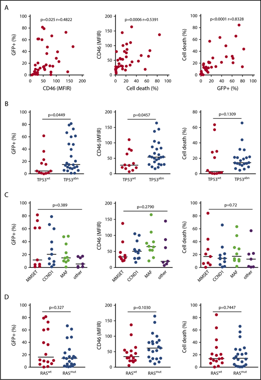 Figure 1. HMCLs with abnormalities in the TP53 gene are highly sensitive to MV. Cells (25 000 in 200 μL) were incubated with MV-GFP (MOI = 1) for 4 days, and GFP expression (Fl1) was assessed by flow cytometry. The data represent the means of at least 3 independent experiments in 37 cell lines (each point represents 1 cell line). (A) Results were analyzed according to GFP expression, CD46 expression, and cell death. CD46 expression and cell death were assessed respectively by fluorescence (MFIR, or specific staining over control staining) and altered morphology (reduced FSC and increased SSC) using flow cytometry. The statistical analyses were performed using the Spearman test. (B-D) Results were analyzed according to TP53 status, 14q32 translocations, and RAS status, respectively. 14q32 translocations are indicated by their respective deregulated gene (MAF includes c-MAF and MAFB).29 Statistical analyses were performed using the Mann-Whitney U test.