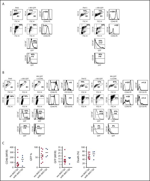 Figure 5. MV induces massive cell death in primary myeloma cells. Mononuclear cells from bone marrow, pleural effusion, or peripheral blood from patients with MM were stained with APC-CD138 and PE-control or PE-CD46 or PE-CD150 mAbs, and fluorescence was analyzed by flow cytometry. (A) Cells were incubated for 4 days with MV-GFP (MOI = 1). Cells were washed and stained with APC-CD138 mAb prior to flow cytometry analysis. GFP expression was assessed in CD138+ myeloma cells and CD138− cells (FSClow SSClow CD138−). Myeloma cell death was assessed at day 4 by the loss of CD138 staining, as previously described.30,31 (B) Anti-CD46 mAb prevented MV-GFP infection in primary cells. Prior to MV-GFP infection (performed as described in panel A), mononuclear cells were incubated for 2 hours with the blocking anti-CD46 mAb (final concentration, 10 μg/mL). GFP histograms represent GFP expression in noninfected cells (dashed line), in MV-GFP–infected cells (thin line), and in MV-GFP–infected cells in the presence of anti-CD46 mAb (thick line). (C) Myeloma cells with or without del(17p) were similarly sensitive to MV-GFP. The graphs represent the expression of CD46 and GFP. CD46 staining was assessed in double staining with anti-CD138 mAb before incubation with MV-GFP (MFIR, which was calculated by dividing the mean fluoresence intensity of specific staining over that of control staining). GFP expression was reported as the percentage of positive cells and the expression level (MFIR), which was the FL1 expression level in infected GFP-positive CD138+ cells over paired control samples. The statistical analyses were performed using the Mann-Whitney U test.