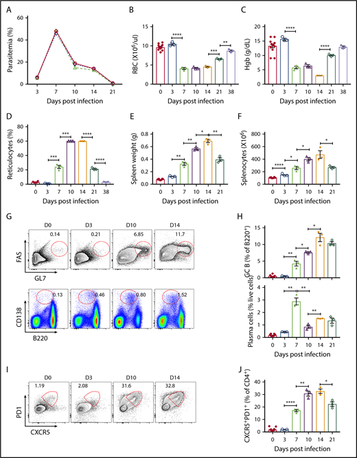 Figure 1. Kinetics of adaptive immune response following B microti infection in C57BL/6 mice. Groups of C57BL/6 mice were infected with 1 × 107 to 1 × 108 B microti–parasitized RBCs intraperitoneally and a representative experiment is shown. (A) The frequency of peripheral blood erythrocytes infected with B microti in total number of RBCs over time. (B-D) Peripheral blood on the indicated days following B microti infection were analyzed using an Advia 120 hematology system for absolute numbers of RBCs (B), hemoglobin (Hgb) content (C), and reticulocyte percentages (D) (n = 3-10). (E-F) The spleen weights (E) and the number of splenocytes (F) before and after B microti infection (n = 3-12). (G) Representative flow cytometry (FACS) plots for GL7 and FAS gated on B220+ cells for the identification of splenic GC B cells (top panel) or B220 and CD138 for the identification of plasma cells (bottom panel) before infection (D0) and after infection on days 3, 10, and 14 (D3, D10, and D14). (H) Quantification of GC B cells (top panel) and plasma cells (bottom panel) (n = 3-10). (I-J) Flow cytometric analysis of TFH cells in C57BL6 mice. (I) Representative FACS plots for CXCR5 and PD1 expression gated on splenic CD4+ T cells. (J) Quantification of TFH cells (CD4+CXCR5hiPD1hi) (n = 3-10). Each symbol represents data from an individual mouse. Error bars indicate the mean ± standard error of the mean (SEM). *P < .05; **P < .01; ***P < .001; ****P < .0001 by unpaired 2-tailed Student t test.
