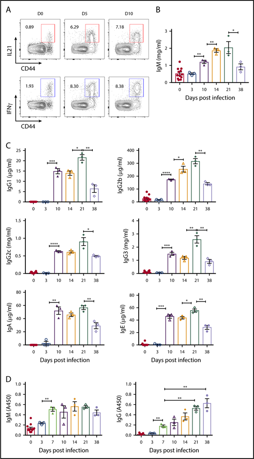 Figure 2. CD4+ T cells expressing cytokines and the kinetics of plasma immunoglobulin levels following B microti infection in C57BL6 mice. (A) Representative FACS plots for CD44 and IL21 (top) or IFNγ (bottom) expression gated on CD4+ T cells in the spleens from mice before (D0) and after B microti infection on days 5 and 10. (B-C) Plasma immunoglobulin levels of IgM (B), IgG1, IgG2b, IgG2c, IgG3, IgA, and IgE (C) on days indicated following Babesia infection. The concentrations of each immunoglobulin isotype were determined by Luminex assay with appropriate immunoglobulin standards. (D) The kinetics of B microti–specific antibody responses in C57BL/6 mice following infection. Plasma was collected from mice on the days indicated and the levels of IgM and IgG antibodies were determined by ELISA using crude cell lysate of RBCs infected with B microti. Each symbol represents data from an individual mouse. Error bars indicate the mean ± SEM. *P < .05; **P < .01; ***P < .001; ****P < .0001 by unpaired 2-tailed Student t test.