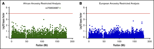 Ancestry-restricted haplotype association at chromosome 5 candidate locus. SNP rs75853687 shows significant association (log10 BF= 4.954) in the restricted African ancestry analysis (A) that is not detected in the restricted European ancestry analysis (B). Red lines show typical threshold for significant log10 BF.