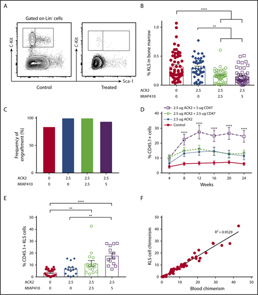Figure 1. ACK2 and CD47 blockade results in KLS cell depletion in the bone marrow and improved engraftment of donor HSCs after congenic transplantation. (A) Representative gating strategy for identifying KLS cells. (B) Frequency of KLS cells within all live bone marrow cells harvested from bilateral femurs and tibias of P0 pups 7 days after treatment. (C) Rate of engraftment (number of animals with >1% chimerism/number of transplanted mice) at 4 weeks. PBS, n = 19; ACK2 (2.5 μg), n = 9; ACK2 (2.5 μg) + MIAP410 (2.5 μg), n = 18; ACK2 (2.5 μg) + MIAP410 (5 μg), n = 16. (D) Levels of donor CD45 chimerism in chimeric mice over the course of the study. The treatment group that received ACK2 (2.5 μg) + MIAP410 (5 μg) was found to have significantly higher chimerism compared with all other groups. The groups that received ACK2 alone and ACK2 + MIAP410 (2.5 μg) were found to be significantly more chimeric than PBS controls (P < .01 and P < .0001, respectively). PBS, n = 16; ACK2 (2.5 μg), n = 9; ACK2 (2.5 μg) + MIAP410 (2.5 μg), n = 18; ACK2 (2.5 μg) + MIAP410 (5 μg), n = 15. (E) Bone marrow chimerism of KLS cells at age ≥ 24 weeks. (F) Bone marrow KLS chimerism correlates with blood chimerism on linear regression. **P < .01, ****P < .0001, ANOVA with the Tukey multiple-comparison test.