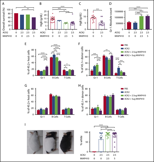 Figure 2. In utero blockade of c-Kit and CD47 increases Gr-1+cells and prevents early engraftment of Gr-1 cells, in addition to causing transient anemia and permanent fur whitening. (A) Survival to birth after in utero injection of PBS, ACK2, or ACK2 + CD47 at various concentrations. PBS, n = 128; ACK2 (2.5 μg), n = 94; ACK2 (2.5 μg) + MIAP410 (2.5 μg), n = 122; ACK2 (2.5 μg) + MIAP410 (5 μg), n = 154. **P < .01, χ2 test. Hemoglobin levels in blood of P0 mice (B) and E18 mice (C) after in utero HSC depletion. (D) Numbers of Gr-1+ cells in the spleens of P0 mice. Lineage distribution of host-derived (E) and donor-derived (F) cells in blood from 4-week-old mice. Lineage distribution of host-derived (G) and donor-derived (H) cells in blood of 12-week-old mice. (I) Hypopigmentation in mice after undergoing in utero HSC depletion. In panels B-F,I, *P < .05, **P < .01, ***P < .001, ****P < .0001, ANOVA with the Tukey multiple-comparison test.