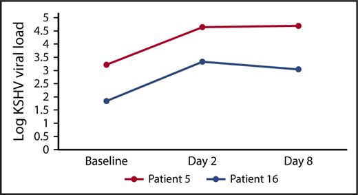 Figure 1. PBMC KSHV viral load change in patients with PEL. More than 1 log-increase occurred in PBMC KSHV viral load after bortezomib administration in the 2 patients with KSHV-positive PEL, both of whom achieved a response to protocol therapy (1 CR, 1 PR).