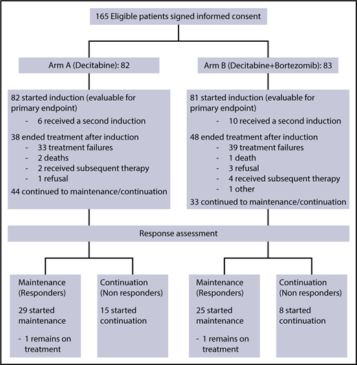 Figure 1. CONSORT diagram.