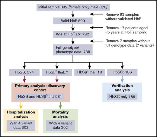 Figure 1. Flow chart illustrating fate of the initial 892 samples.