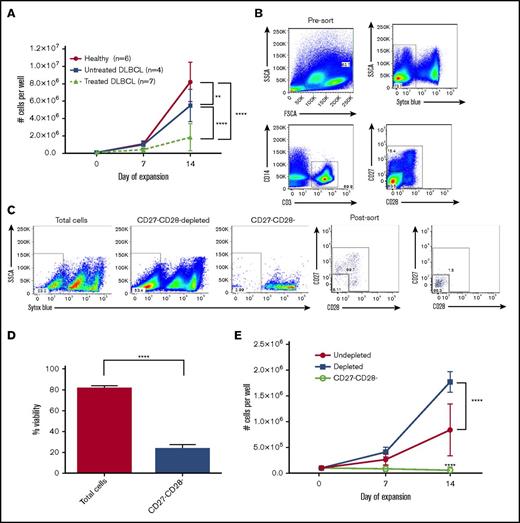 Figure 2. Depletion of CD27− CD28− cells improves the expansion of T cells from heavily pretreated DLBCL patients. PBMCs from pretreated DLBCL patients were rested overnight followed by FACS sorting to separate CD27−CD28− cells from the remaining populations. Cells were then stimulated with anti-CD3/CD28 beads with IL-2 for 14 days. (A) Comparison of normal T-cell expansion from healthy donors, untreated DLBCL patients, and treated DLBCL patients. (B) Flow plots showing the sorting strategy and postsort purity. (C) T-cell viability at the end of the expansion period as assessed by Sytox blue staining. (D) Quantitation of cell viabilities for the indicated populations on day 14 of expansion (n = 4 DLBCL patient donors). (E) Cell counts of cultures consisting of the indicated T-cell populations from 4 patient sorts. **P < .01, ****P < .001.