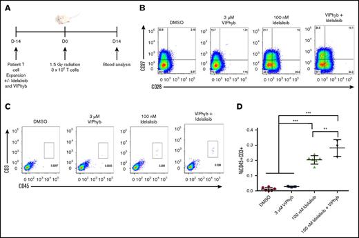 Figure 5. Expansion of DLBCL patient T cells in the presence of idelalisib and VIPhyb significantly enhances their in vivo persistence following adoptive transfer to NSG mice. T cells from a heavily treated DLBCL patient were expanded in the presence or absence of idelalisib and/or VIPhyb for 14 days followed by transfer to irradiated NSG mice. Blood was analyzed 14 days posttransfer for the presence of human CD45+CD3+ cells. (A) Experimental outline. (B) Flow plots showing the phenotype of T cells on day 14 of expansion just prior to adoptive transfer. (C) Representative flow plots from the blood of NSG mice showing the frequency of human T cells. (D) Quantification of T-cell frequencies in NSG mice 14 days after adoptive transfer from 1 of 3 independent experiments. **P < .01; ***P < .001.