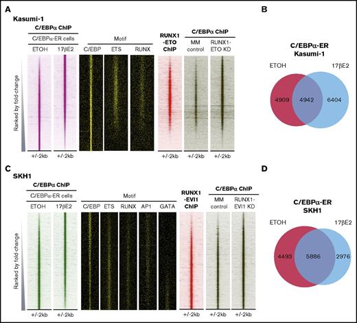 Figure 4. Comparison of C/EBPα binding after induction and after RUNX1-ETO or RUNX1-EVI1 knockdown. (A,C) ChIP-seq of C/EBPα after E2 induction in (A) C/EBPα-ER Kasumi-1 or (C) C/EBPα-ER SKH1 cells. Peaks are ranked in order of decreasing relative DNA sequence tag count for peaks in control cells. Aligned to these coordinates are the indicated motifs, ChIP-seq sequences for either RUNX1-ETO (in Kasumi-1) or RUNX1-EVI1 (in SKH1), and C/EBPα ChIP-seq after either control siRNA or CBF fusion knockdown in the respective cell lines. Overlap of C/EBPα ChIP-seq peaks in (B) C/EBPα-ER Kasumi-1 or (D) C/EBPα-ER SKH1 cells after E2 and ethanol treatment.