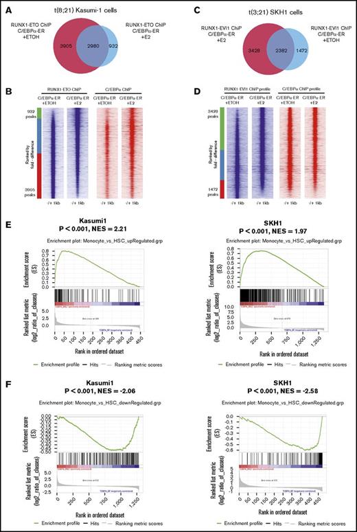 Figure 6. C/EBPα overrides rather than displaces RUNX1-ETO or RUNX1-EVI1. (A-D) De novo RUNX1-ETO or RUNX1-EVI1 bound sites after E2 treatment are also bound by C/EBPα. Overlap of sites bound by either RUNX1-ETO (A) or RUNX1-EVI1 (C) after either ethanol or E2 treatment of cells. (B,D) ChIP-seq profiles of either RUNX1-ETO (B) or RUNX1-EVI1 (D) ranked from top to bottom in order of decreasing relative DNA sequence tag count for peaks identified after E2 and vehicle treatment. Aligned to the same coordinates are C/EBPα ChiP-seq tag counts in cells treated with either ethanol or E2. (E-F) GSEA of genes close to sites with altered RUNX1-ETO and RUNX1-EVI1 binding after C/EBPα induction in Kasumi1 and SKH1 cells. Comparison of gene expression profiles of these genes to HSC and monocyte expression patterns. (E) Increased binding of RUNX1-ETO and RUNX1-EVI1 after C/EBPα upregulation occurs at monocyte-associated genes and is associated with increased expression. (F) Decreased binding of RUNX1-ETO and RUNX1-EVI1 after C/EBPα upregulation occurs at HSC-associated genes, which are downregulated.