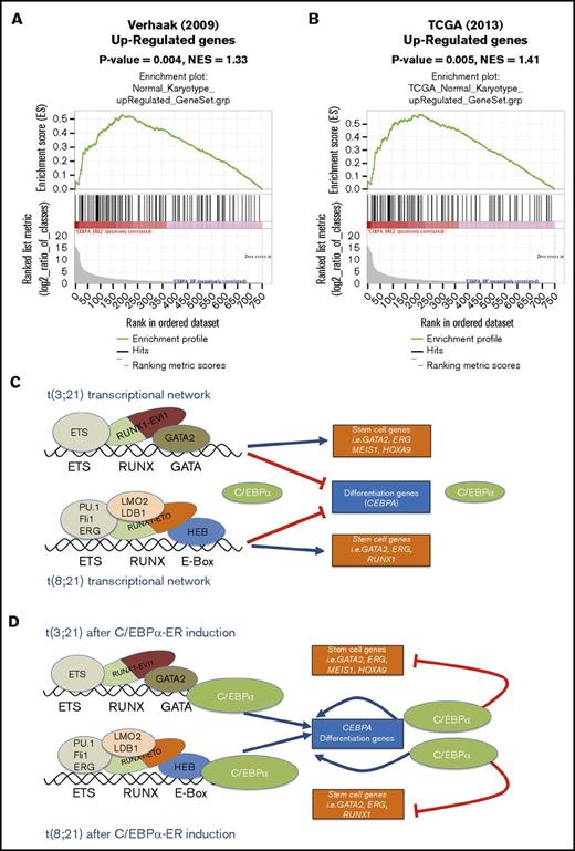 Figure 7. C/EBPα overexpression in Kasumi-1 cells upregulates pathways repressed in primary t(8;21) samples. (A-B) GSEA based on RNA-seq of Kasumi1 after overexpression of C/EBPα. Enrichment of genes that are upregulated in this process in comparison with genes that are repressed in primary t(8;21) as compared with normal karyotype AML samples in both the (A) Verhaak et al cohort52 and (B) The Cancer Genome Atlas (TCGA) cohort53 of patients with AML. (C-D) Model of the C/EBPα-mediated override of t(8;21) and t(3;21) AML transcriptional networks. (C) t(3;21) and t(8;21) AML are epigenetically different AMLs, but (D) overexpression of C/EBPα results in upregulation (blue lines) of myeloid differentiation genes, which also become bound by the fusion proteins, and repression (red lines) of select genes required for stem cell function.