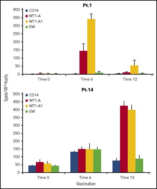 Figure 3. IFN-γ secretion by CD8+ cells. CD3+ T cells from patient 1 (Pt. 1) 1 and patient 14 (Pt. 14) were stimulated with WT1-A (native) peptide. IFN-γ–secreting T cells were measured by ELISPOT assay after challenge with indicated peptides. Controls were no peptide (only CD14+ antigen-presenting cells) or irrelevant Ewing sarcoma–derived peptide (EW). Data are mean ± SD from quadruplicate cultures from before GPS administration (time 0), after 6 GPS vaccinations (time 6), and after 12 GPS vaccinations (time 12). A positive response was defined as meeting all of the following criteria: (1) a twofold increase in the IFN-γ–secreting cells and in frequencies of CD8+ WT1-A tetramer–positive cells over the controls, (2) P < .05, and (3) >30 spots per 105 cells. Results indicate that a WT1-A–specific response can be generated by challenge to both native and heteroclitic peptide, suggesting processing and presentation of the antigen. In patient 1, a stronger response was seen after 6 vaccinations and then faded. In patient 14, a stronger response was seen after 12 vaccinations.