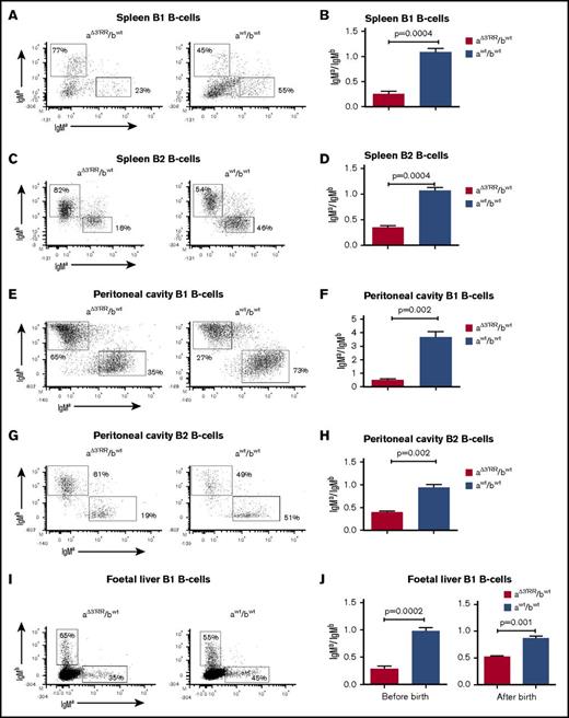 Figure 3. Expression of a 3′RR-deleted allele in B1 B cells of the spleen, peritoneal cavity, and fetal liver. (A) Flow cytometry analysis of IgMa and IgMb on spleen B1 B cells of aΔ3′RR/bwt and awt/bwt mice. One representative experiment is shown. (B) IgMa/IgMb ratios for spleen B1 B cells. Six aΔ3′RR/bwt and nine awt/bwt mice were investigated. Results are reported as means ± standard error of the mean (SEM), Mann-Whitney U test for significance. (C) IgMa and IgMb on spleen B2 B cells of aΔ3′RR/bwt and awt/bwt mice. One representative experiment is shown. (D) IgMa/IgMb ratios for spleen B2 B cells. Same mice as in panel B. (E) IgMa and IgMb on peritoneal cavity B1 B cells of aΔ3′RR/bwt and awt/bwt mice. One representative experiment is shown. (F) IgMa/IgMb ratios for peritoneal cavity B1 B cells, 7 mice per groups. (G) IgMa and IgMb on peritoneal cavity B2 B cells of aΔ3′RR/bwt and awt/bwt mice. One representative experiment is shown. (H) IgMa/IgMb ratio for peritoneal cavity B2 B cells, 7 mice per groups. Same mice as in panel E. (I) IgMa and IgMb on B1 B cells in fetal liver (12 hours before birth) of aΔ3′RR/bwt and awt/bwt mice. One representative experiment is shown. (J) IgMa/IgMb ratio for B1 B cells in the liver 12 hours before and 12 hours after birth. Eleven aΔ3′RR/bwt and nine awt/bwt mice were investigated before birth. Twelve aΔ3′RR/bwt and seven awt/bwt mice were investigated after birth.