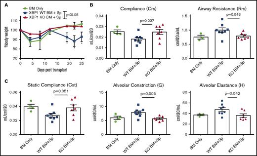 Figure 1. B-cell–specific XBP-1 impairs pulmonary function in a BO model of cGVHD. B10.BR recipients were treated twice with cyclophosphamide (120 mg/kg) 1 time per day on days −3, −2, and sublethally irradiated on day −1 before transplant. On day 0, mice were transplanted with TCD-BM (5 × 106 per mouse) from XBP-1flox/floxCD19Cre− (n = 10) or XBP-1flox/floxCD19Cre+ donors (n = 9) on a B6 background with (n = 19) or without (n = 4) whole splenocytes (Sp) at 0.15 × 106 per mouse. Mice were monitored for body weight loss until experiment endpoint (A), where recipients were anesthetized, given tracheostomy, and subjected to lung function analysis using a SciReq flexiVent device 28 days after transplant (B-C). Data from panels B and C are pooled from 2 separate experiments. Panel A shows representative body weight loss from 2 replicate experiments. Statistics were performed using 2-tailed Student t tests of each indicated time point, where P < .05 indicates statistical significance and an asterisk indicates statistical significance between XBP-1flox/floxCD19Cre− and XBP-1flox/floxCD19Cre+ groups: *P < .05. BM, bone marrow; Crs, compliance; Cst, quasistatic compliance; Rrs, airway resistance of the respiratory system as a whole.
