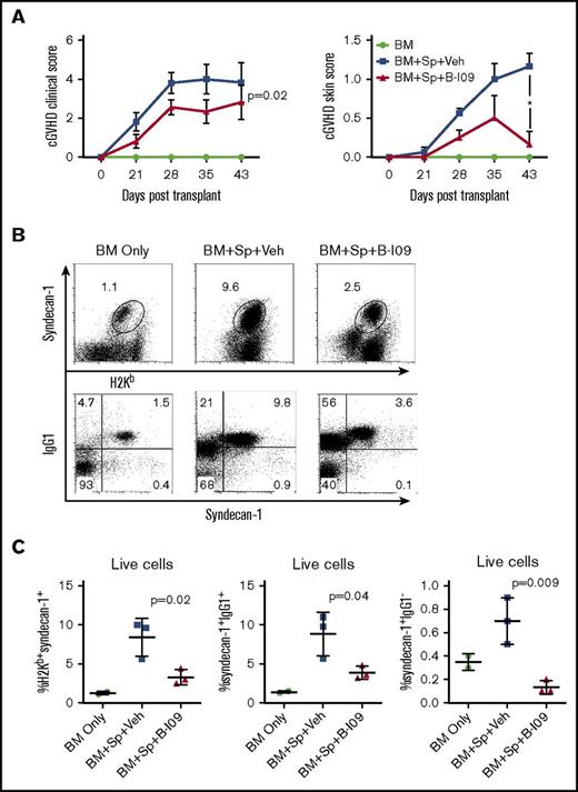 Figure 5. Pharmacologic inhibition of IRE-1α/XBP-1 prevents cGVHD in MHC-mismatched BMT model. B6 to BALB/c BMT was carried out as in Figure 3. The recipients were left without treatment (n = 4) or IP injected daily with DMSO vehicle or with B-I09 at a dose of 25 mg/kg starting on day 0 and continued for 3 weeks (n = 8 per group). BMT recipients (n = 19) were monitored for cGVHD clinical scores and skin scores (A) and killed on day 30 (n = 4 per group) or 50 (n = 4 per group) after transplant, and spleens were subjected to flow cytometric analysis for surface expression of syndecan-1 and intracellular IgG1. Representative flow plots from day 50 for each group are depicted in panel B. Data from each group are quantified in panel C. Overall cGVHD clinical scores for the entire experimental time course were analyzed using a paired Student t test. For skin cGVHD clinical scores, a 2-tailed Student t test was performed for the final time point. P < .05 indicates statistical significance. Data were collected from n = 19 mice from 1 representative experiment. Veh, vehicle.