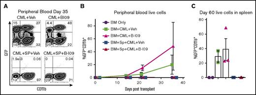 Figure 7. Prophylactic B-I09 administration does not impair the GVL effect. Lethally irradiated BALB/c recipients were transplanted with TCD-BM from B10.D2 donors with (n = 20) or without (n = 13) whole splenocytes. Mice were also cotransplanted with either no blast crisis chronic myeloid leukemia cells (BC-CML) (n = 4) or 1 × 106 BC-CML splenocytes (n = 29). Groups subsequently either received no treatment (n = 4), received daily IP injection of DMSO vehicle (n = 16), or received 25 mg/kg B-I09 (n = 13) on day 0 and continued for 3 weeks. Peripheral blood was collected and analyzed for GFP+CD11b+ expressing BC-CML cells via flow cytometry (A) periodically after transplant until day 35 and is shown as a time course of GFP+CD11b+ cells in each group (B). On day 60, mice were killed, and splenocytes were analyzed for the presence of BC-CML cells indicated by GFP+CD11b+ expression (C). Flow cytometry plot from panel A is representative of 2 replicate experiments. Data from panels B and C are pooled from 2 replicate experiments.