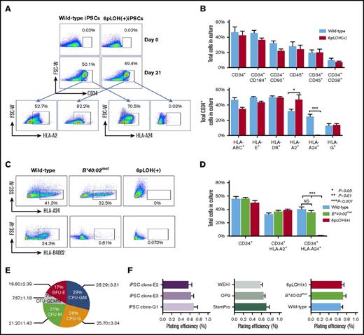 Figure 3. Characterization of HSPs derived from iPSCs with different HLA genotypes. (A) Expression of A*02:01 and A*24:02 by WT and 6pLOH+ iCD34+ cells. WT and 6pLOH+ iPSCs cultured with OP9 cells for 21 days were examined for HLA-A24 and A2 expression on the gated CD34+ cells. (B) HSC induction from WT and 6pLOH+ iPSCs and HLA expression by the iCD34+ cells. Cultured WT (blue column) and 6pLOH+ (red column) with OP9 cells were analyzed for the percentage of CD34+ cells and HLA expression by the gated CD34+ cells. The data show the mean ± SEM from 3 independent experiments. (C-D) B4002 expression by CD34+ cells derived from 3 different iPSCs with different HLA genotypes. iPSCs cultured with a feeder system (OP9 cells) for 21 days were examined for the expression of A2402 and B4002. HSCs derived from a B4002− iPSC clone lacked B4002 but retained A2402 as expected. A representative set of (C) scattergrams and (D) the percentages of CD34+ cells and HLA-A allele+ cells are shown. The columns represent the mean ± SEM of the values determined by FMC. (E) Hematopoietic colony-forming capacities of iCD34+ cells. The pie chart shows CFU, granulocyte, erythrocyte, megakaryocyte, macrophage (CFU-GEMM), CFU-granulocyte (CFU-G), CFU, granulocyte-macrophage (CFU-GM), CFU, macrophage (CFU-M), and burst-forming unit erythroid (BFU-E)–derived colonies generated from the WT-iCD34+ cells. (F) The plating efficiencies of iCD34+ cells derived from (left panel) 3 WT iPSC clones are compared among (middle panel) 3 different feeder-free systems with StemPro or CM from OP9 or WEHI cells. (Right panel) Summary of the plating efficiencies of iCD34+ cells with 3 different HLA genotypes. The data indicate the mean ± SEM of the CFU percentages obtained from 3 independent experiments. The plating efficiency was defined as the frequency of colonies generated from 5000 iCD34+ seeded cells (total number of colonies per 5 × 103 cells seeded). *P < .05; **P < .01; ***P < .001. NS, not significant; SSC-W, side scatter width.