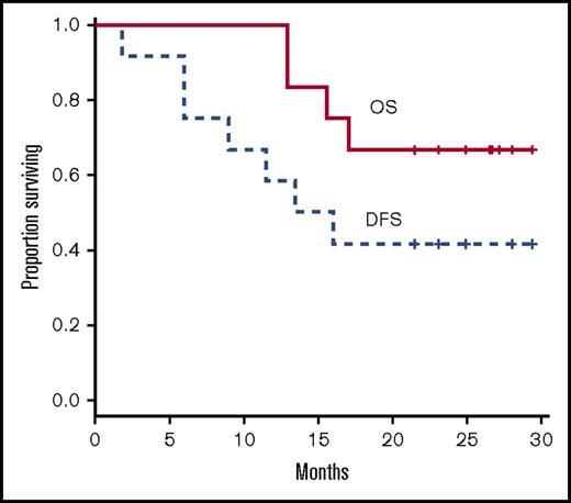 Figure 1. Kaplan Meier curves of overall survival (OS) and disease-free survival (DFS).