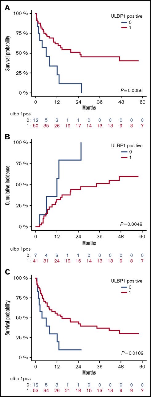 Figure 2. ULBP1 positivity at diagnosis correlates with better outcome. Kaplan-Meier estimates of OS (A), CIR (B), and RFS (C), according to ULBP1 expression: patients with blasts expressing and nonexpressing ULBP1 at diagnosis are shown by red and blue lines, respectively. P values are shown.