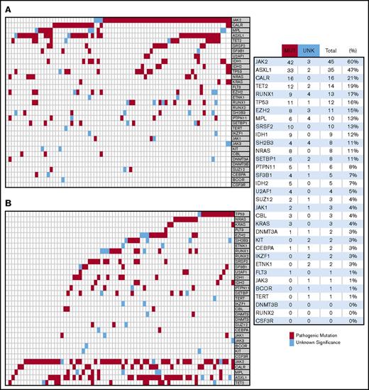 Figure 1. Molecular signature in 75 patients with blast phase MPN. (A) stratification headed by driver mutations followed by most frequent mutations. (B) Stratification headed by mutations that are overrepresented compared with historical data on chronic phase disease.