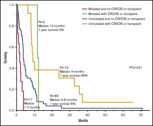 Figure 3. Survival data in 75 patients with blast phase MPN stratified by RUNX1 mutation and treatment strategy.