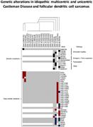 Graphical abstract for: Next-generation sequencing of idiopathic multicentric and unicentric Castleman disease and follicular dendritic cell sarcomas;