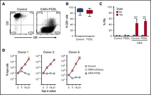 Figure 4. CAR expression and signaling in T cells with CD3/TCRαβ expression blockade. (A) Flow cytometric dot-plots illustrate CD3 downregulation and anti-CD19-41BB-CD3ζ CAR expression. Cells were transduced with the CAR construct followed by anti-CD3ε PEBL, or with GFP only followed by mCherry only (“Control”). (B) Percentage of T lymphocytes transduced with PEBL or GFP alone (“Control”) expressing anti-CD19-41BB-CD3ζ CAR 24 hours after CAR mRNA electroporation (n = 5), or 5 to 6 days after CAR viral transduction (n = 4); P = .207. (C) IFNγ production by PEBL or control T cells electroporated with CAR mRNA or no mRNA and cultured with CD19+ RS4;11 for 8 hours at E:T 1:2. Bars represent mean (±SD) of 9 measurements with cells from 3 donors; ****P < .0001. (D) T lymphocytes were first transduced with CAR and then transduced with either mCherry alone or anti-CD3 PEBL. Cells were then cultured with irradiated CD19+ OP-1 for 3 weeks. Results were compared with cells transduced with GFP only and then with mCherry only (“Control”). Symbols indicate mean (± SD) percentage cell recovery relative to number of input cells in triplicate cultures.