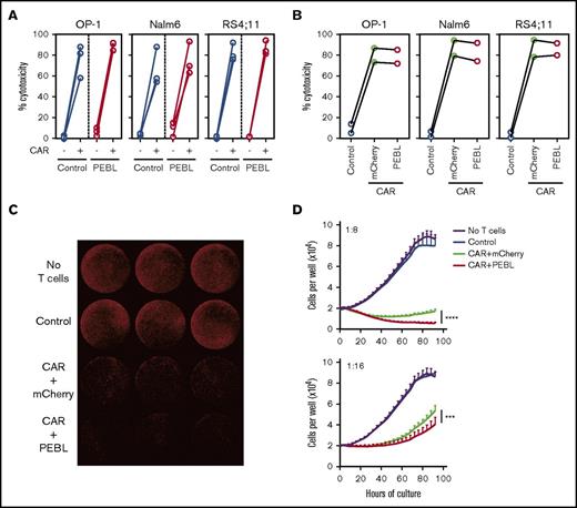 Figure 5. Cytotoxicity of CAR+PEBL T lymphocytes. (A) Four-hour cytotoxicity assays of PEBL or control (mCherry-transduced) T cells from 3 donors electroporated either with anti-CD19-41BB-CD3ζ CAR mRNA or no mRNA against CD19+ ALL cell lines at 2:1 E:T (see also supplemental Figure 4). Symbols indicate mean of 3 measurements for each donor. (B) Cytotoxicity of CAR-transduced T lymphocytes from 2 donors, sequentially transduced with a retroviral vector containing either mCherry alone or anti-CD3 PEBL was tested against CD19+ cell lines. Control, cells transduced with GFP only followed by mCherry only. Shown are data for 4-hour assays against CD19+ ALL cell lines at 1:1 E:T (full set of data in supplemental Figure 4). Each symbol indicates mean of triplicate experiments for each donor. (C-D) T lymphocytes transduced as in panel B were tested for long-term cytotoxicity against Nalm6 transduced with mCherry. Leukemia cell growth was measured with IncuCyte Zoom System (Essen BioScience). Whole-well imaging of triplicate cultures at 80 hours; E:T 1:8, is shown in panel C; leukemia cell growth measurements at the indicated E:T ratios in panel D. ***P < .001; ****P < .0001.