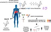 Graphical abstract for: CDA as a predictive marker for life-threatening toxicities in patients with AML treated with cytarabine;