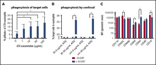Figure 3. Higher ATG-mediated cytotoxicity by neutrophils after in vivo G-CSF treatment. Neutrophils were derived from healthy volunteers not receiving G-CSF (n = 5) or from donors who received 10 mg/kg G-CSF for at least 5 days (n = 5). (A) Percentage of pHRodo+CTV+ neutrophils as evaluated with flow cytometry; difference between neutrophils with and without G-CSF per ATG concentration tested: 0 μg/mL, P = .005; 1 μg/mL, P = .005; 10 μg/mL, P = .002; 20 μg/mL, P = .005; 100 μg/mL, P = .002. (B) The percentage of neutrophils that phagocytized a target cell as evaluated by confocal microscopy, no G-CSF vs G-CSF: 0 μg/mL 2-hour incubation, P = .99; 20 μg/mL 2-hour incubation, P < .001; 0 μg/mL overnight incubation, P = .90; 20 μg/mL overnight incubation, P = .001. Z-stack analyses were applied to ensure target cells were contained within neutrophils. (C) The geometric mean fluorescent intensity (MFI) of CD11b, CD62L (P = .03), CD66b, CD63 (P = .003), CD64 (P < .001), CD35, and CD16 (P = .03) on neutrophils, with (blue) and without (red) G-CSF treatment. Statistically significant differences (P < .05) are indicated with asterisks.