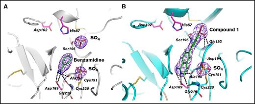 Figure 4. Binding interactions of small molecule inhibitors to β-FXIIa. (A) Close-up view of the inhibitor binding area in the benzamidine complex (gray ribbon). The benzamidine molecule (green sticks) bound to the S1 site, the residues defining the interaction with the inhibitors, the residues of the catalytic triad, and the bound phosphate ions (yellow) are shown as sticks. The electron density maps (blue) around the bound inhibitor and the ion are countered at 1σ. (B) The compound 1–β-FXIIa complex. The same view as in panel A.