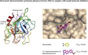 Graphical abstract for: Structures of human plasma β–factor XIIa cocrystallized with potent inhibitors;