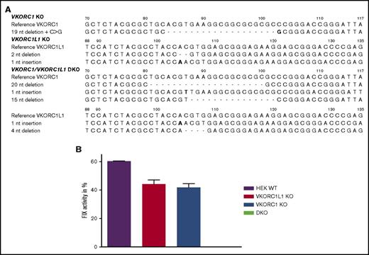 Figure 1. CRISPR/Cas9-mediated gene editing of VKORC1 and VKORC1L1 in HEK293T cells. (A) The wild-type sequence for both genes (c.70-116 of VKORC1 and c.88-131 of VKORC1L1) is shown on the top, deletions are indicated by dashes, and insertion and substitution is shown in bold type. (B) Measurement of FIX activity after transfection of human F9 cDNA and supplementation of 12 µM vitamin K1 in different genetically engineered cells. Columns represent measurements of endogenous VKORC1 and VKORC1L1 activity in HEK 293T WT, endogenous VKORC1 activity (VKORC1L1 KO), endogenous VKORC1L1 activity (VKORC1 KO), and in cells lacking both VKOR enzymes (VKORC1/VKORC1L1 DKO cells). Columns show mean of triplicates ± standard error of the mean.