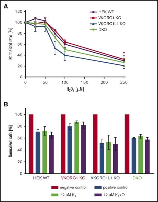 Figure 4. Effect of cell stress on VKOR KO cells. (A) Cell viability with regard to H2O2 treatment was assessed in WT (purple), VKORC1 KO (red), VKORC1L1 KO (blue), and DKO (green) HEK 293T. Curves showing normalized values for 3 replicates including error bars representing standard error of the mean. (B) Effect of K1 and K1>O treatment on cell viability. Negative control without H2O2; positive control with 75 µM H2O2. Cells were incubated with 75 µM H2O2 and K1 or K1>O (each 12 µM).