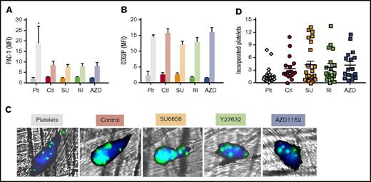 Figure 7. Functionality of in vivo–released platelets. (A-B) Studies with whole murine blood isolated 4 hours after human megakaryocytes or hdPlts were infused. Mean ± 1 SEM of (A) PAC-1 binding as measured by MFI and (B) CD62P surface expression MFI pre- and post-high dose (10 U/mL) thrombin activation. N = 3 independent studies for hdPlt infusion, and N = ≥6 independent studies for infused megakaryocytes arms. *P < .05 compared with hdPlts by 1-way ANOVA analysis. (C) Representative confocal images of laser-induced cremaster arteriole thrombi formed in mice infused with either hdPlts or the various treated in vitro–grown megakaryocytes. Mouse platelets are labeled with CD41–Alexa 647 (dark blue). Human platelets derived from infused donor-derived platelets or megakaryocytes are calcein-AM labeled (green or cyan blue when overlapped with mouse platelets). Original magnification ×20. (D) Quantification of the incorporation into the mice clot standardized per the percentage of human platelets in the mice circulation and thrombus size after infused hdPlts or megakaryocytes. Individual study results are shown with N ≥ 16 independent studies per arm. Mean value is shown as a single horizontal line in each arm.