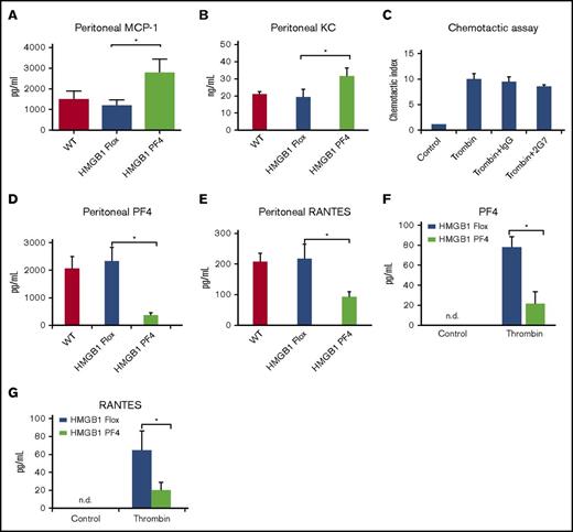 Figure 4. Platelet-HMGB1 regulates neutrophil recruitment via modulation of PF4 release. (A-B) Peritoneal chemokine levels. Peritoneal lavage fluid was collected at 18 hours after CLP. Peritoneal (A) MCP-1 and (B) KC concentrations were measured by ELISA. Data are means ± SD from 8 mice per group from 2 separate experiments. (C) In vitro chemotactic assay. Isolated neutrophils were cocultured with platelets in presence of indicated treatment of 1 hour. Data represent mean ± SD from 2 individual experiments. (D-E) Peritoneal (D) PF4 and (E) RANTES concentrations were measured by ELISA. Data are means ± SD from 8 mice per group from 2 separate experiments. (F-G) Isolated platelets from HMGB1 Flox, and HMGB1 PF4 mice were stimulated with or without thrombin (0.2 U/mL) for 2 hours. The concentrations of (F) PF4 and (G) RANTES in media in resting and stimulated conditions were measured using ELISA. These experiments have been repeated for 2 times. Data represent mean ± SD. Statistical difference was tested using Student t test; *P < .05.