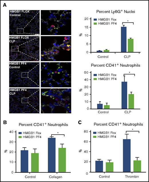 Figure 5. Platelet-HMGB1 promotes platelet-neutrophil interactions and neutrophil activations. (A) Lung immunofluorescence in mice at 18 hours after CLP. Green, CD41; Red, Ly6G; blue, nucleus. Scale bar, 50 µm (images in the right column were magnified ×5). Colocalization of CD41 and Ly6G is shown as yellow. Quantification was performed using NIS Elements. Percentage of Ly6G+ nuclei and percentage of CD41+ neutrophils were calculated. (B-C) Platelets were isolated from HMGB1 Flox and HMGB1 PF4 mice. Twenty million platelets were treated with (B) collagen (0.5 mM) or (C) thrombin (0.2 U/mL) for 2 minutes and incubated with 1 million isolated WT neutrophils for 5 minutes. Formation of platelet-neutrophil aggregation was assessed using flow cytometry. These experiments have been repeated 4 times. Data represent mean ± SD. Statistical difference was tested using Student t test; *P < .05.