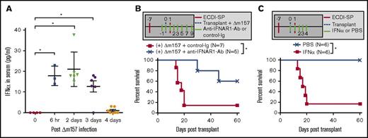 Figure 2. Acute MCMV infection induces type 1 IFN that impairs tolerance induction by donor ECDI-SPs. (A) Kinetics of serum IFN-α level post–MCMV infection (N = 4-6, compiled from 4 independent experiments). (B) Schematic treatment plan and percent graft survival with anti-IFNAR1-Ab blockade. Two cohorts of ECDI-SP–treated transplant recipients were infected with Δm157 on the day of transplantation. The first cohort additionally received anti-IFNAR1 blocking antibody (IP injection; 250 µg/mouse per day) on the indicated days, while the other cohort additionally received isotype antibody on the same indicated days (N = 5-7, compiled from 3 independent experiments). (C) Schematic treatment plan and percent graft survival with recombinant IFN-α treatment. Two cohorts of ECDI-SP–treated transplant recipients were additionally treated with vehicle (PBS) or mouse recombinant IFN-α (400 U/g per day) on the indicated days (N = 6, compiled from 2 independent experiments). *P < .05 (log-rank test).