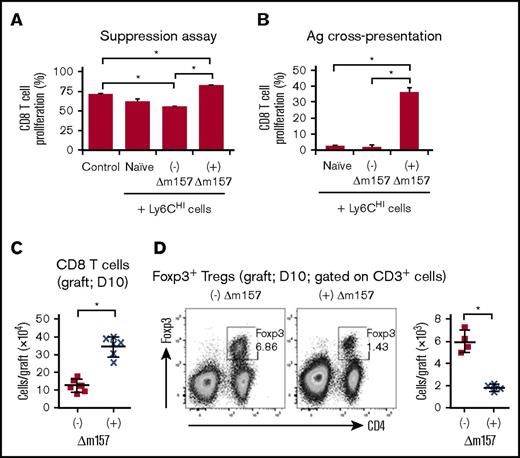 Figure 6. Functional assessment of Ly6CHI cells and intragraft CD8 T cells and CD4+Foxp3+ Tregs. (A) In vitro suppression assay using sorted splenic Ly6CHI cells from the indicated groups 10 days posttransplantation. Control: no Ly6CHI cells were added. Sorted splenic Ly6CHI cells were cocultured with CFSE-labeled syngeneic CD8 T cells stimulated with anti-CD3/CD28 coated beads (at a ratio of 1:1:1). Proliferation of CD8 T cells was quantified by CFSE dilution. Data shown were averaged from a total of 4 mice in each group from 2 independent experiments. (B) Alloantigen cross-presentation by Ly6CHI cells to CD8 T cells. Sorted splenic Ly6CHI cells from the indicated groups were cocultured with CFSE-labeled naïve B6 CD8 T cells at a ratio of 5:1 (Ly6CHI:CD8) in the presence of BALB/c splenocyte lysates (50 µg/mL). CD8 T-cell proliferation was measured by CFSE dilution on day 4 of cocultures. Data shown in panels A and B were averaged from a total of 4 mice in each group from 2 independent experiments and presented as mean ± SD. *P < .05. (C) Quantitative analysis of graft-infiltrating CD3+CD8+ T cells (day 10 posttransplant) from the indicated groups. (D) Representative FACS plots demonstrating graft-infiltrating CD4+Foxp3+ Tregs (day 10 posttransplant; gated on CD3+ cells) from the indicated groups. Scatter graph showing quantitation of Treg numbers. Data shown in panels C and D were from 2 to 3 independent experiments with a total of 4 to 6 grafts in each group. Data were presented as mean ± SD. *P < .05.