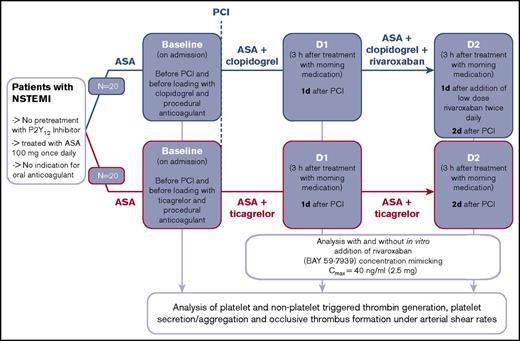 Figure 1. Flowchart of REVEAL study.