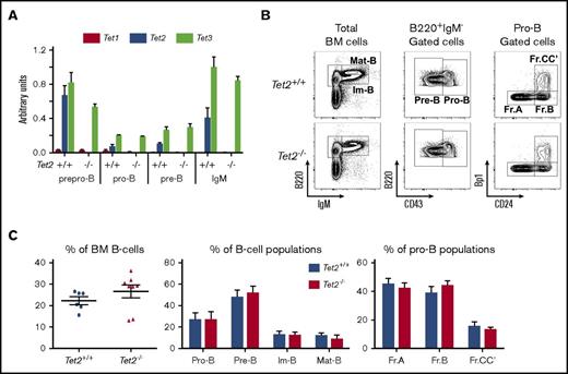 Figure 2. Normal steady-state early B-cell development in Tet2-deficent mice. (A) qRT-PCR analysis transcription levels of the 3 murine Tet genes normalized by Abl1 expression. Results are the average of 3 independent experiments performed in duplicate. (B) Bone marrow B-cell development analysis. Total BM cells were analyzed for B220 and IgM expression. Immature B cells B220lowIgM+ and mature B cells B220+IgM+ are indicated. Then CD43 expression was evaluated in gated B220+IgM− cells to define pre-B (CD43−) and pro-B (CD43+) populations; finally, the more immature Hardy fractions (Fr.A CD24−Bp1−; Fr.B: CD24+Bp1−; and Fr.CC′: CD24+Bp1+) were analyzed in the pro-B-cell gate. The genotypes of the analyzed mice are indicated on the left side. (C) Average percentage of cell populations. (Left) Total B220+ cells (each dot represents an independent mouse). (Middle) Average percentage of the indicated population in the B-cell compartment for each genotype. (Right) Hardy fraction percentage inside the pro-B-cell compartment. Genotypes are indicated (Tet2+/+ mice, n = 6; Tet2−/− mice, n = 8). Im-B, immature B cells B220lowIgM+; Mat-B, mature B cells B220+IgM+.