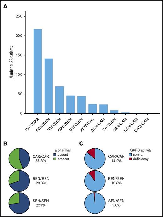 Figure 1. Distribution of the different β haplotypes in the SCA cohort as a function of α thalassemia and G6PD deficiency in the 3 major homozygous β haplotypes. (A) Number of patients with the different combinations of β haplotypes. The CAR haplotype was the most prevalent allele (43.2%), followed by BEN (34.6%), SEN (17.0%), CAM (2.7%), and atypical (2.5%). Homozygosity for β haplotype was present in 74% of SS patients; ie, CAR/CAR (37.4%), BEN/BEN (24.3%), SEN/SEN (12.1%), and CAM/CAM (0.2%). (B) Prevalence of α thalassemia in the 3 major homozygous β haplotypes. α thalassemia was present in 44.1% of the patients, with 32.8% being heterozygous for the α−3.7 deletion (3 α genes) and 11.4% being homozygous (2 α genes), whereas 0.5% had 5 α genes (patient heterozygous for the anti-3.7 triplication). The prevalence of α thalassemia was significantly higher (P < .001) in CAR/CAR patients (55.3%) than in any other homozygous β haplotypes (BEN/BE, 29.8%; SEN/SEN, 27.1%). (C) Prevalence of G6PD deficiency in the 3 major homozygous β haplotypes. The overall prevalence of G6PD deficiency was 10.6% and was similar in patients with (10.9%) or without α thalassemia (10.4%). However its prevalence was significantly lower (P = .01) in SEN/SEN patients (1.6%) than in CAR/CAR (14.2%) and BEN/BEN (10.3%) patients. The prevalence of G6PD deficiency was significantly lower (P = .01) in SEN/SEN patients (1.6%) than in CAR/CAR (14.2%) and BEN/BEN (10.3%) patients.