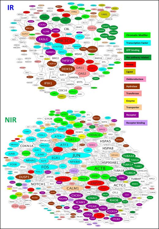 Figure 3. Protein–protein interactions between products of the genes differentially expressed in CMV-specific T cells from IR and NIR recipients. The STRING database was used to identify known and predicted interactions between the products of the genes characterizing reactive and nonreactive CMV-specific T cells. Proteins are sized according to their number of connections and colored according to function. Only connected proteins are shown. GTP, guanosine triphosphate.