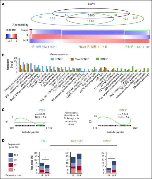 Identification and characterization of chromatin accessibility in reactive and nonreactive CMV-specific T cells. (A) Overlap between regions accessible in CMV-specific T cells from NIR and IR recipients and naive CD8 T cells gave rise to 3 main chromatin accessibility groups: IR+NIR−, naive−IR+NIR+, and IR−NIR+. (B-C) The genes nearest to the regions were characterized by enrichment of signaling pathways (B) and their expression in IR and NIR cells (C). Gene set enrichment analysis plots show cumulative enrichment scores (ESs) across genes ranked by expression in IR to NIR, with lines indicating the presence in the ranking of a gene near a IR+NIR− or IR−NIR region. Normalized enrichment scores are indicated. (D) The proportion of genes with differential expression that have an accessible region within 1 to 100 kb of their transcriptional start site. *P < .05 in size range of matching color. (E) Characterization of the regions and the region subset that occur within 50 kb of a differentially expressed gene by their genomic annotation and chromatin state. Chromatin states from CD8+ naive (outer circle) and memory (inner circle) lymphocytes. Chromatin states: enhancer (Enh), repressive (Repr), permissive (Perm), transcription (Tx), quiescent (Quies), active (Act), or weak (Wk). (F) The proportion of the regions bound by different DNA-binding proteins in various tissues from publically available ChIP-seq data and DNA-binding motif enrichment. Enrichment reported as clover enrichment score and assessed against regions with matching GC content. Enrichment values colored by rank (given in brackets); motifs are significant (P < .05) unless marked nonsignificant (ns). LINE, long interspersed element; LTR, long terminal repeat; SINE, short interspersed element; TCR, T-cell receptor; TTS, transcription termination site; UTR, untranslated region.