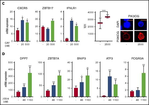 Regulation of gene expression in IR and NIR lymphocytes by chromatin modulators. (A) Chromatin accessibility (CA; FAIRE-seq), mRNA levels (RNA-seq), and HDAC6, JARID2, and histone modifications (publicly available ChIP-seq) near PIK3CG, IFNLR1, BNIP3, and ZBTB7A. Histone modifications are for naive (N) and memory (M) CD8+ lymphocytes (REMC/Broad donor 100). HDAC6 binding in activated T lymphocytes and JARID2 binding in iPSCs. (B) Levels and location of HDAC6, JARID2, KDM6B, and PI3KCG proteins in IR and NIR cells. (C) The effect of pretreatment with the HDAC6 inhibitor CAY1063 on gene expression levels and PIK3CG protein expression in CD8+ lymphocytes following 2-hour phorbol 12-myristate 13-acetate/ionomycin stimulation. (D) The effect of pretreatment of unstimulated CD8+ lymphocytes with the JARID inhibitor JIB04 on gene expression levels. (B-C) Total nuclear fluorescence intensity (TNFI) or total cytoplasmic fluorescence intensity (TCFI) was measured in a minimum of n = 20 cells for 2 different donors. DAPI (4′,6-diamidino-2-phenylindole) shows the nucleus. ****P < .0001. Scale bar represents 5 μm. (C-D) Expression values normalized to PPIA. Error bars show standard error of the mean of triplicate polymerase chain reactions from 1 donor and are representative of 2 different donors. ***P < .001, **P < .01, and *P < .05 compared with control.