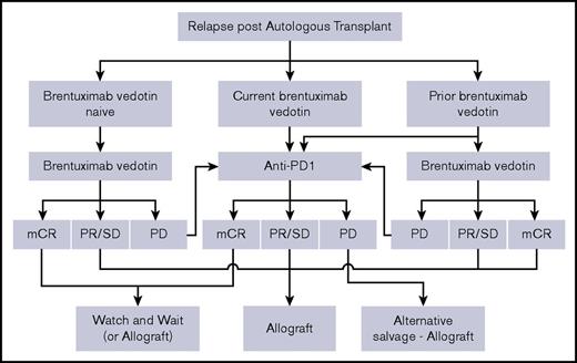 Figure 1. Simplified management algorithm for patients who relapse after ASCT. The schema outlines a suggested approach to these patients, stratified according to prior or current exposure to brentuximab vedotin. Other options in terms of salvage chemotherapy-radiotherapy exist but have been omitted to reduce complexity. It is recognized that the decision to proceed to alloSCT is an individualized one that will be influenced by other clinical considerations, donor options, and patient views. Given that survival outcomes with T-cell–depleted alloSCT are no worse, and indeed may even be better than those with T-replete regimens,19 and additional concerns regarding GVHD risk after anti-PD-1 agents, use of a T-cell–depleted platform may be preferable after anti-PD-1 therapy. PD, progressive disease; PR, partial response; SD, stable disease.