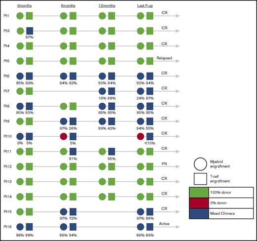 Figure 2. Engraftment of patients who underwent allogeneic stem cell transplantation at 3, 6, and 12 months and at the last follow-up.