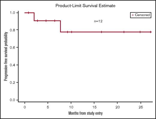 Figure 1. Progression-free survival.