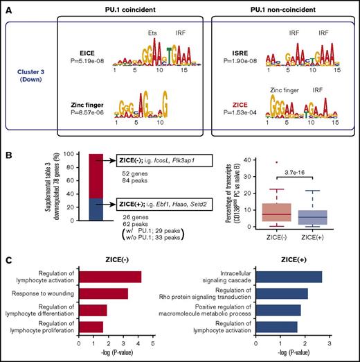 Figure 2. The newly identified ZICEs correlate with gene downregulation. (A) Motif analysis of IRF4 binding sequences obtained from downregulation target genes. IRF4 direct targets in B1-8hi splenic B cells were selected using IRF4 ChIP-seq in B1-8i splenic B cells (Gene Expression Omnibus accession number GSE46607) as described in supplemental Figure 1B. IRF4 binding targets belonging to cluster 3 (supplemental Table 1) were further classified into those with and without PU.1 binding (PU.1 coincident and noncoincident, respectively). In total, 47, 28, 113, and 47 regions were extracted for these categories, respectively. These sequences were analyzed with the MEME algorithm to identify overrepresented motifs within 100 bp in either direction for PU.1 coincident or 200 bp in either direction for PU.1 noncoincident of the peak maxima. Results are represented for the enriched motifs. (B) The ZICEs correlate with efficient downregulation of IRF4 direct target genes. Left: IRF4 downregulated target genes were classified into 2 subgroups depending on the presence of the ZICEs within the IRF4 bound regions (supplemental Table 3). ZICE (−), 52 genes with 84 IRF4 binding peaks that lacked the ZICEs and included IcosL and Pik3ap1; ZICE (+), 26 genes with 62 IRF4 binding peaks that contained the ZICEs and included Ebf1, Haao, and Setd2. Among these 62 peaks, 29 peaks were detected in PU.1 ChIP-seq as well, whereas 33 peaks were not detected. The y-axis shows the percentage of downregulated genes. Right: The amounts of transcripts of each ZICE (−) or ZICE (+) IRF4 direct target genes in CD138 positive (CD138posi) cells were divided by that of transcripts at 0 hours (from Figure 1B). Data are shown with box-and-whisker plot and the P value. (C) Gene ontology (GO) analysis of subgroups of IRF4 downregulation target genes. 52 ZICE (−) genes or 26 ZICE (+) genes were analyzed for their enrichment in GO focusing on biological process using the David v6.8 algorithm. The x-axis shows the P value of pathway-specific enrichment.